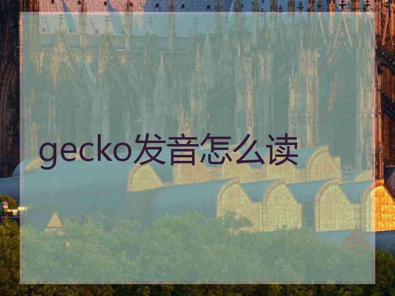 gecko发音怎么读