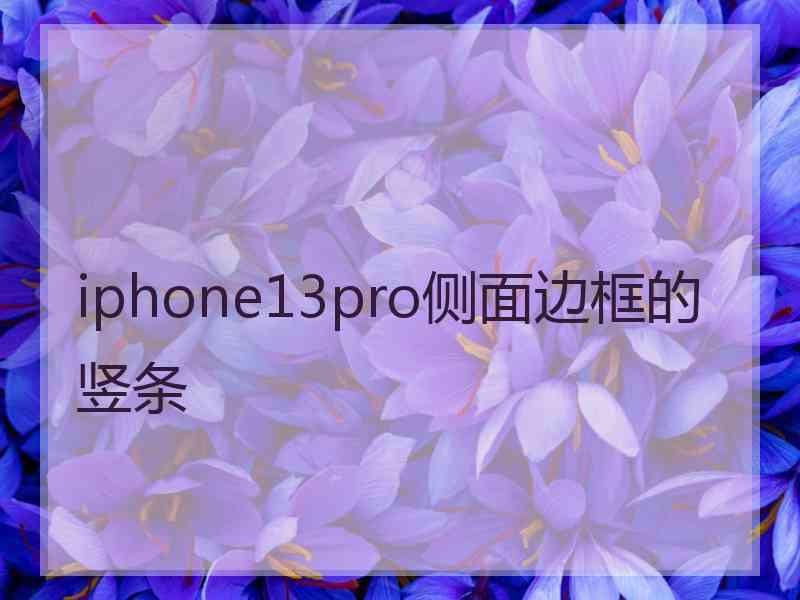 iphone13pro侧面边框的竖条