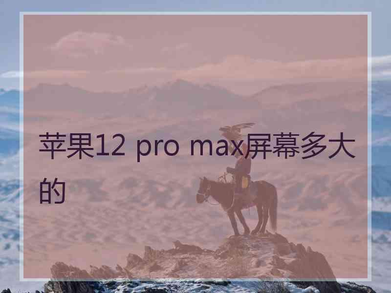 苹果12 pro max屏幕多大的