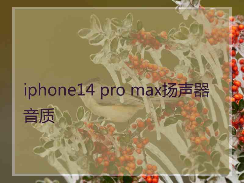 iphone14 pro max扬声器音质