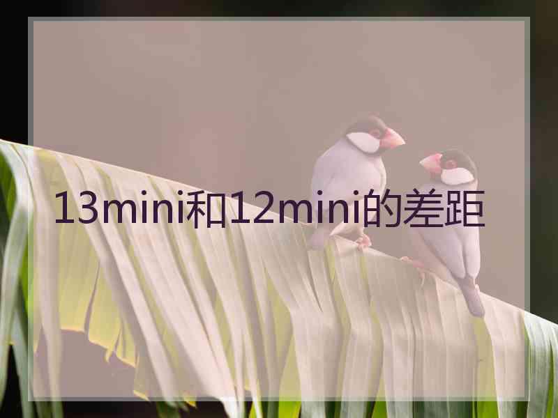 13mini和12mini的差距