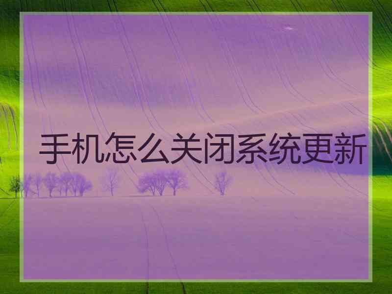 手机怎么关闭系统更新