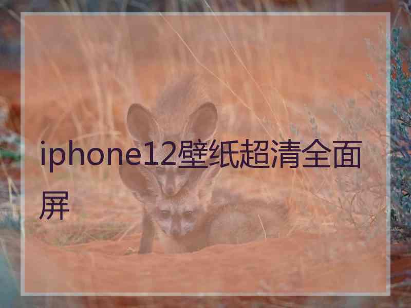 iphone12壁纸超清全面屏