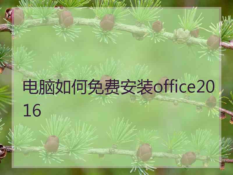 电脑如何免费安装office2016