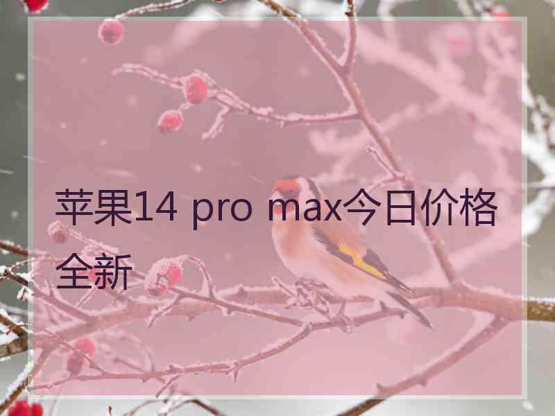 苹果14 pro max今日价格全新