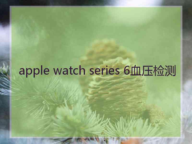 apple watch series 6血压检测