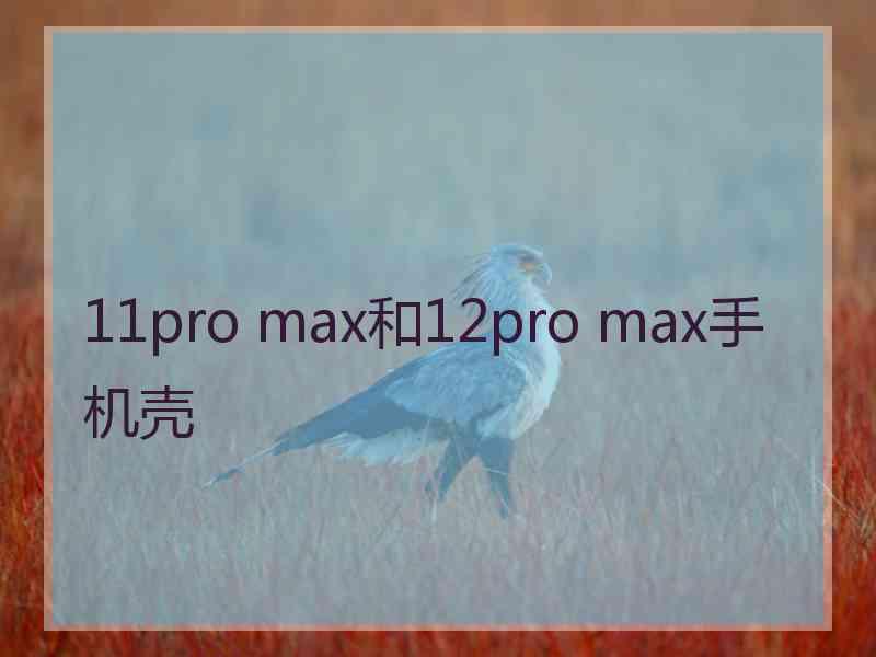 11pro max和12pro max手机壳