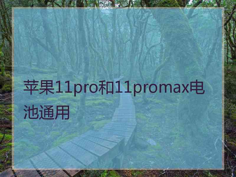 苹果11pro和11promax电池通用