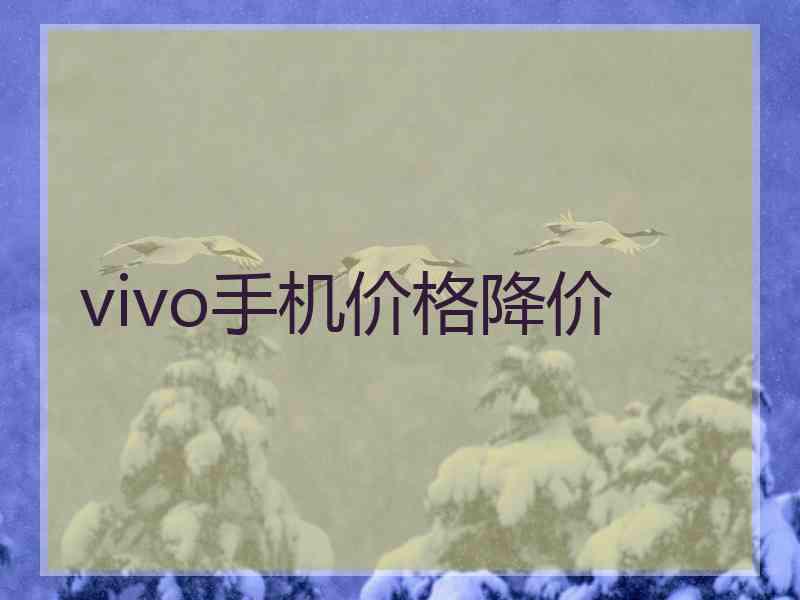 vivo手机价格降价