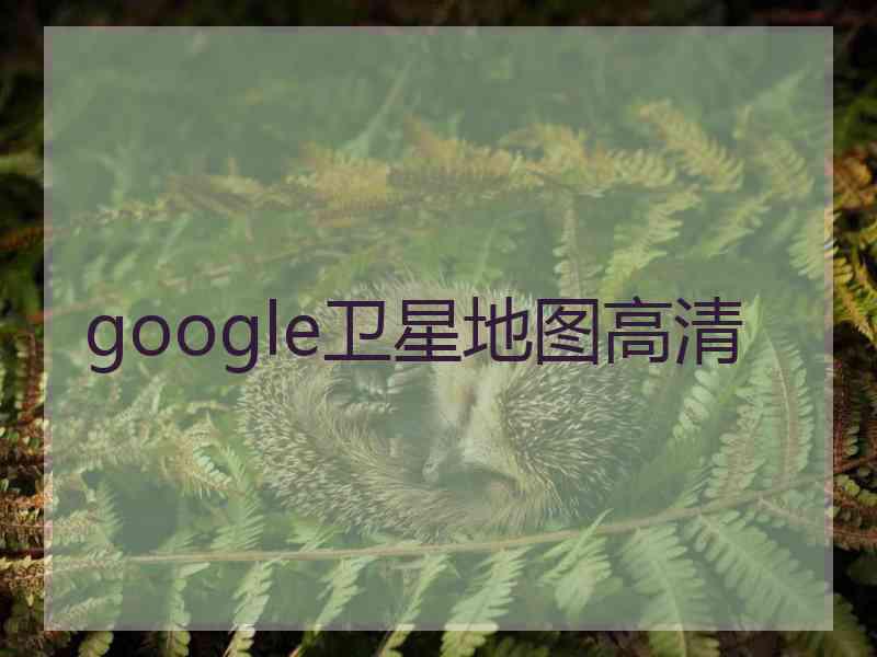 google卫星地图高清