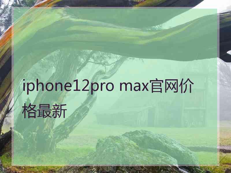 iphone12pro max官网价格最新