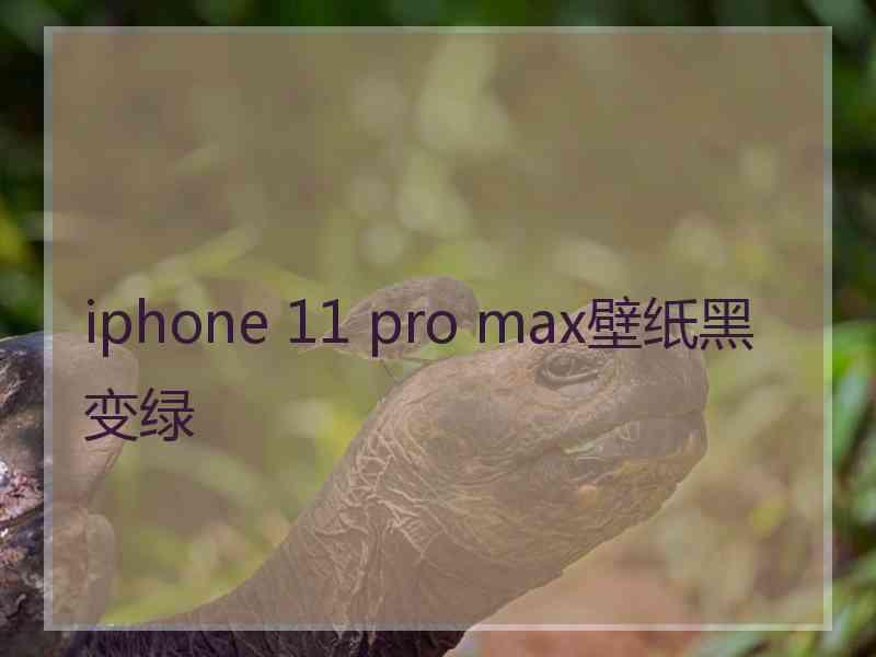 iphone 11 pro max壁纸黑变绿