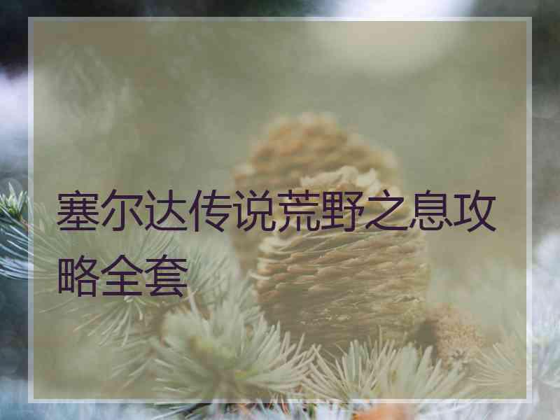 塞尔达传说荒野之息攻略全套