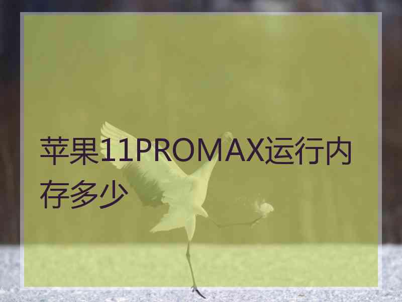 苹果11PROMAX运行内存多少