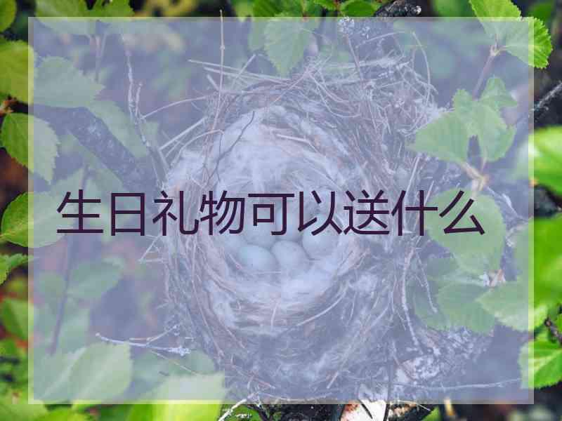 生日礼物可以送什么