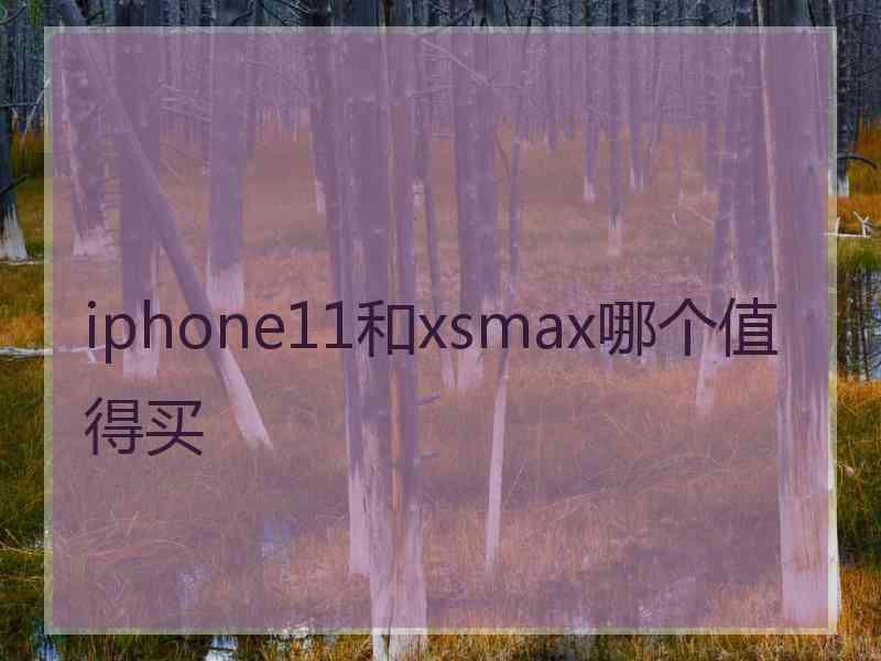 iphone11和xsmax哪个值得买