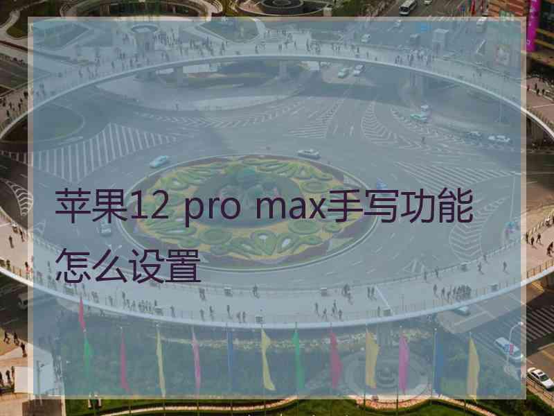 苹果12 pro max手写功能怎么设置