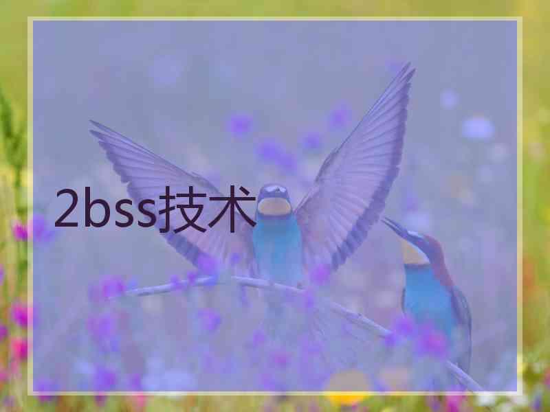 2bss技术