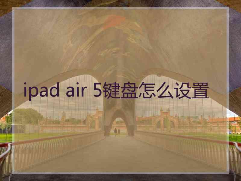 ipad air 5键盘怎么设置