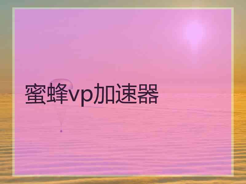 蜜蜂vp加速器