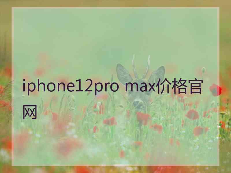 iphone12pro max价格官网