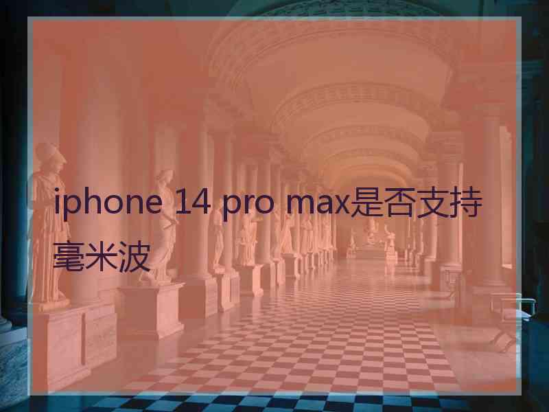 iphone 14 pro max是否支持毫米波