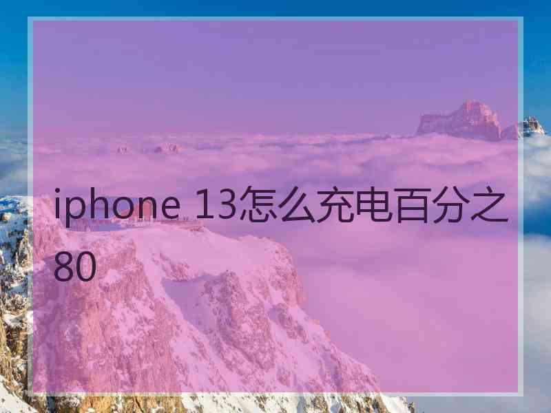 iphone 13怎么充电百分之80