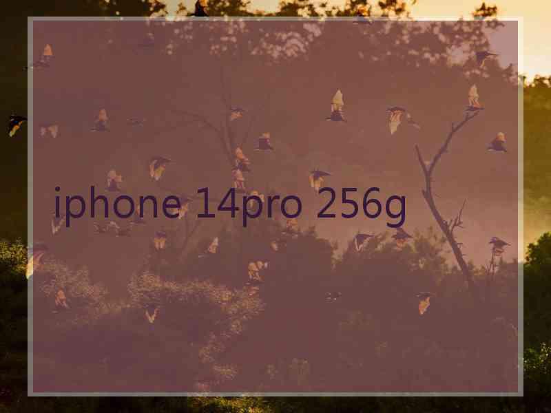 iphone 14pro 256g