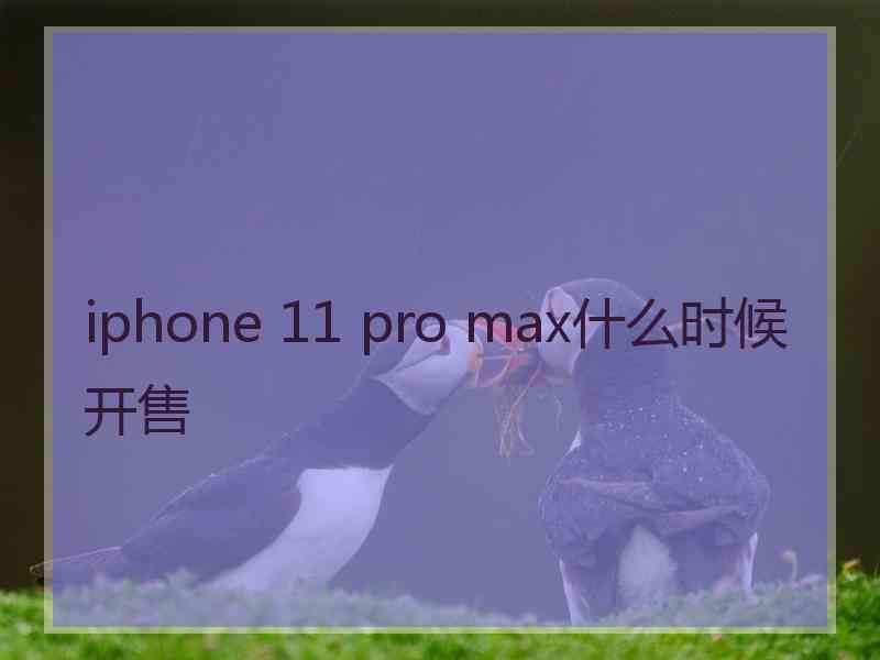 iphone 11 pro max什么时候开售