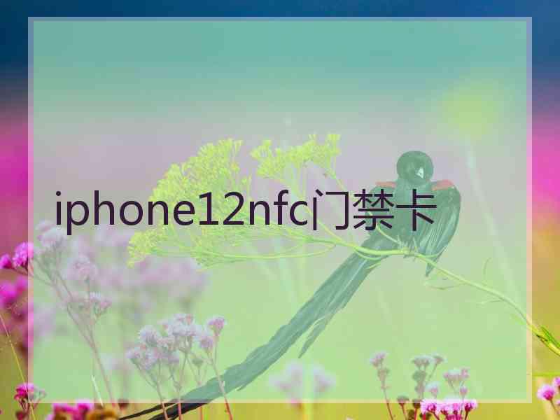 iphone12nfc门禁卡