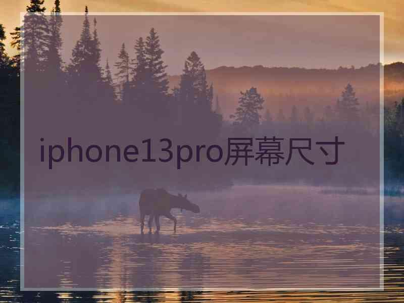 iphone13pro屏幕尺寸