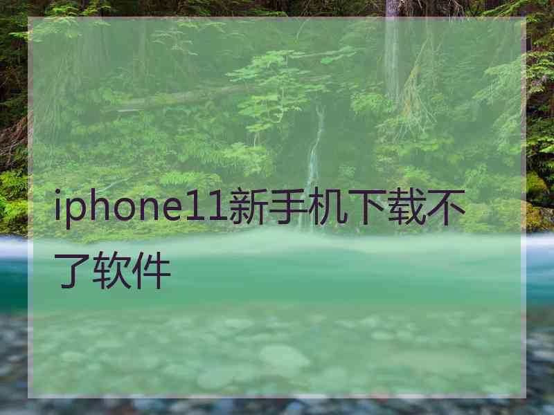 iphone11新手机下载不了软件