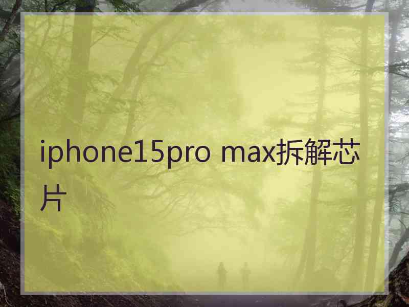 iphone15pro max拆解芯片