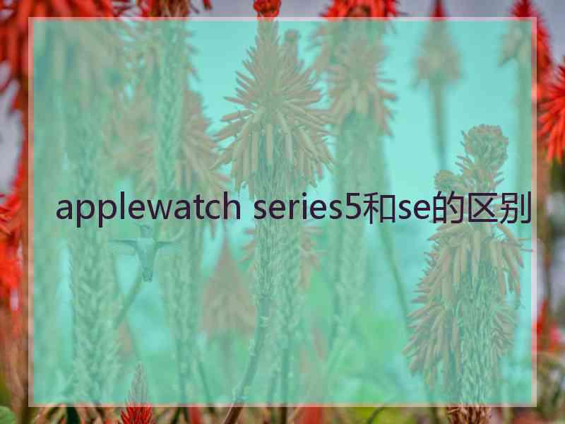 applewatch series5和se的区别