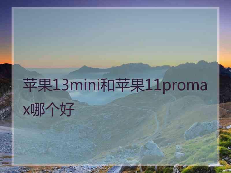 苹果13mini和苹果11promax哪个好