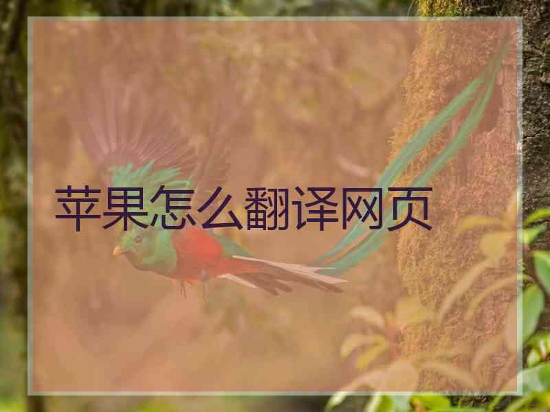 苹果怎么翻译网页