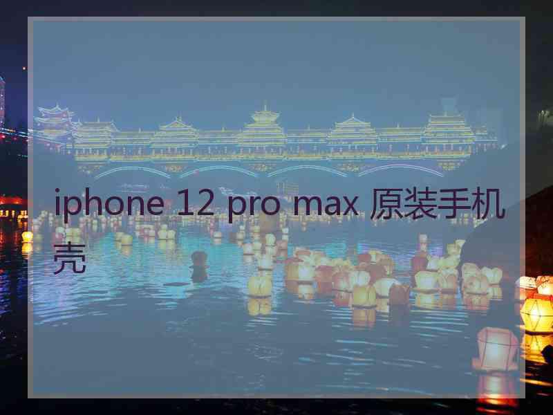 iphone 12 pro max 原装手机壳