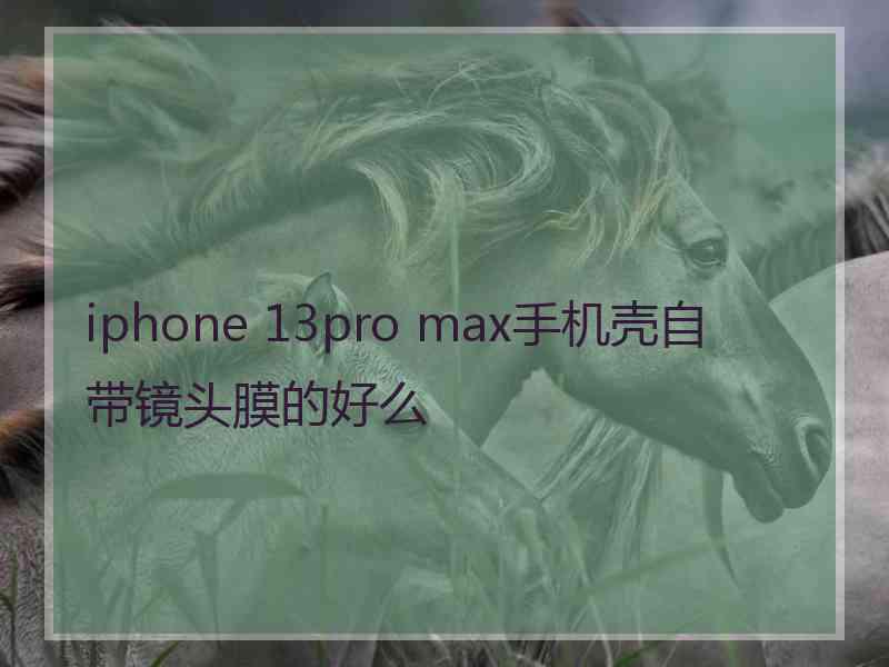 iphone 13pro max手机壳自带镜头膜的好么