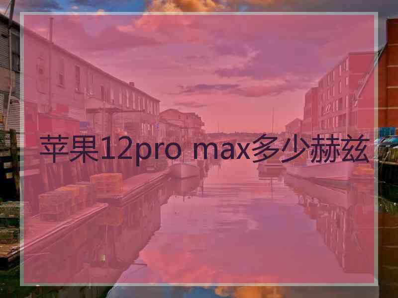 苹果12pro max多少赫兹