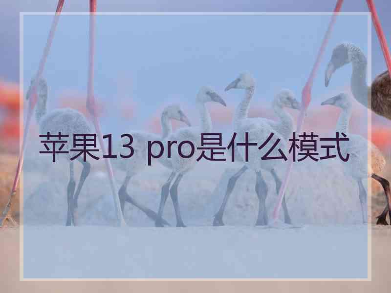 苹果13 pro是什么模式