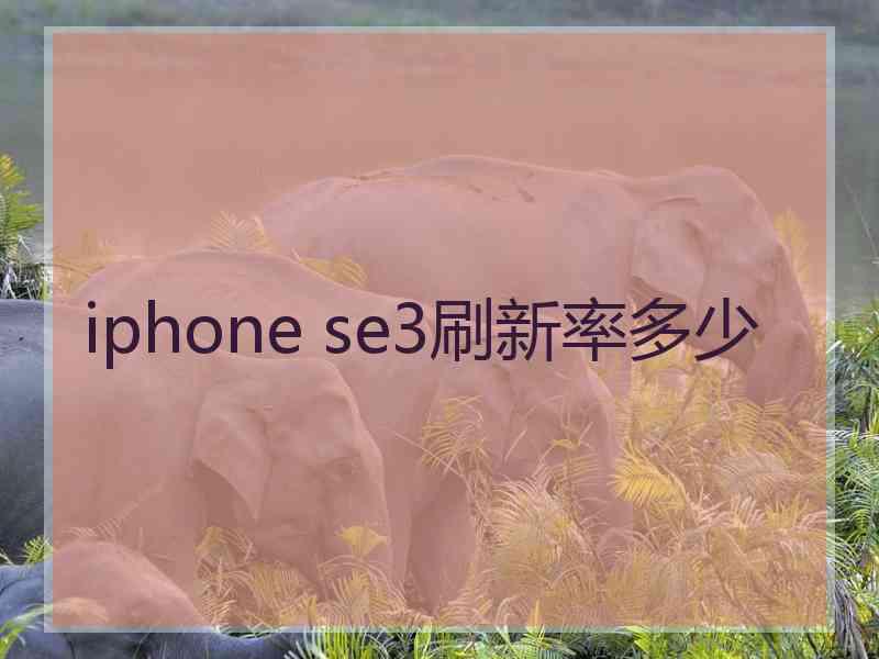 iphone se3刷新率多少