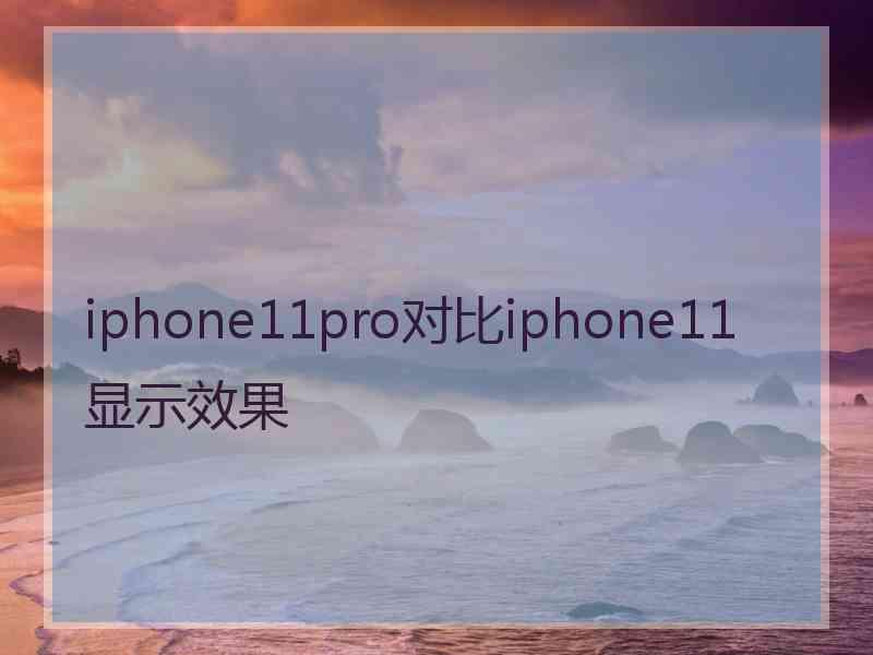 iphone11pro对比iphone11显示效果