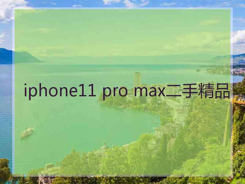 iphone11 pro max二手精品