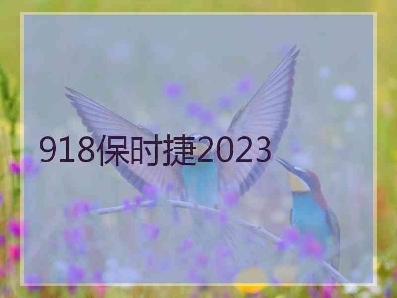 918保时捷2023