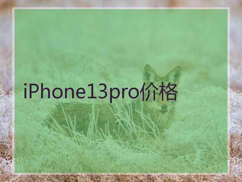 iPhone13pro价格