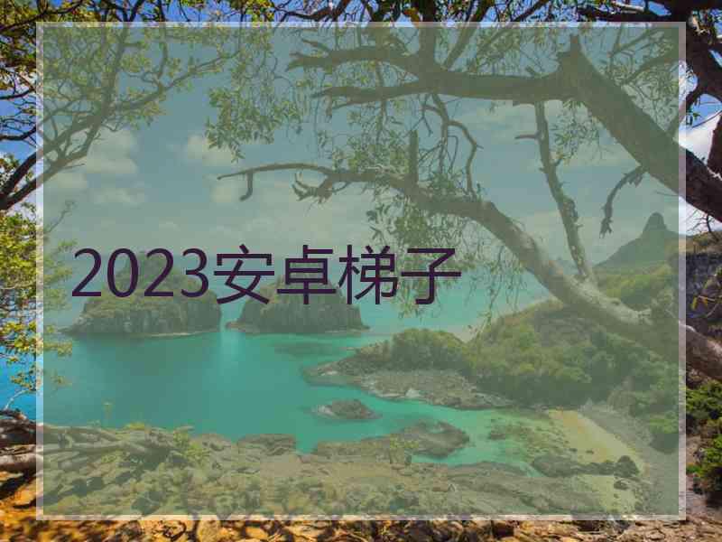 2023安卓梯子