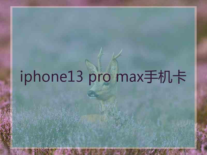 iphone13 pro max手机卡