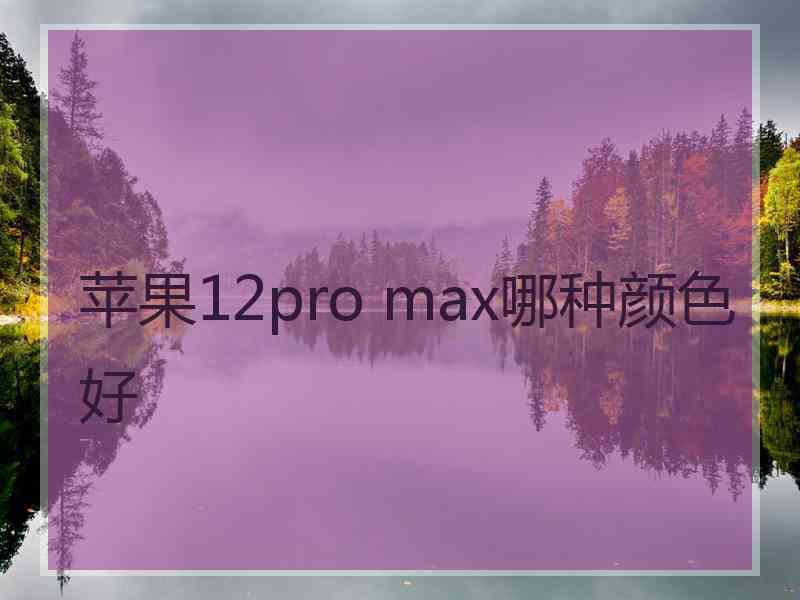 苹果12pro max哪种颜色好