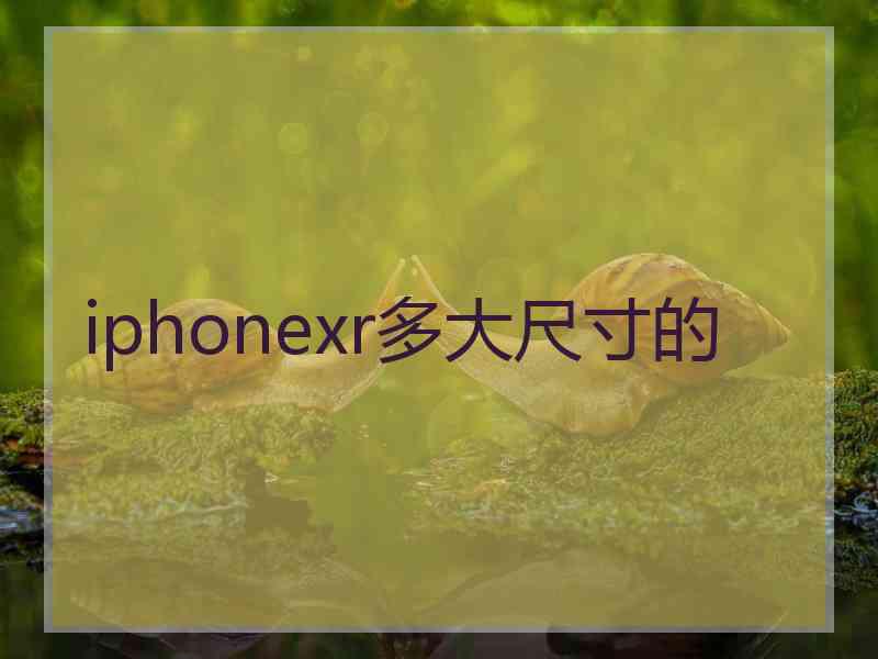 iphonexr多大尺寸的