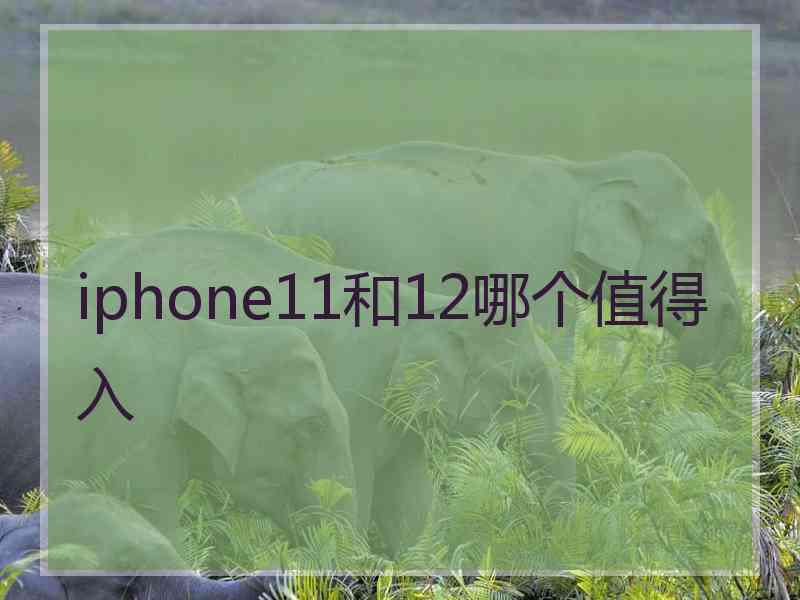 iphone11和12哪个值得入